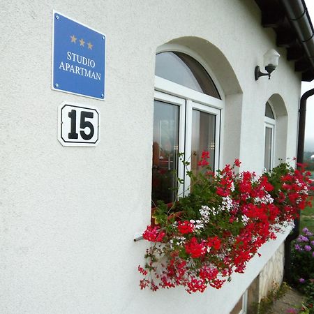 Apartments Zegarac House Korenica Eksteriør bilde